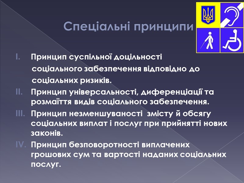 Спеціальні принципи Принцип суспільної доцільності         соціального